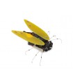 Whadda Elektronische cicade