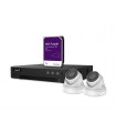 EtiamPro Ip-videobewakingsset - 4-kanaals nvr-recorder - 2 x witte ip dome-camera - 1 tb hd - kabels